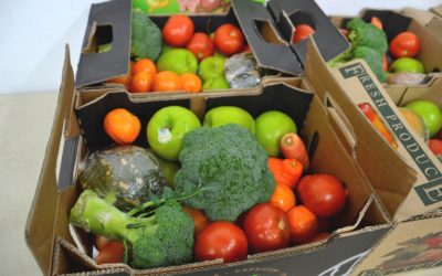 Seniors’ festival to highlight SECC’s fruit and veg service