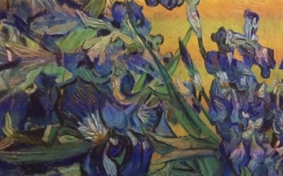 Lights, camera, action: Art fans celebrate Van Gogh in dazzling colour